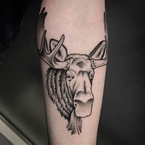 12+ Realistic Moose Head Tattoo Ideas - PetPress