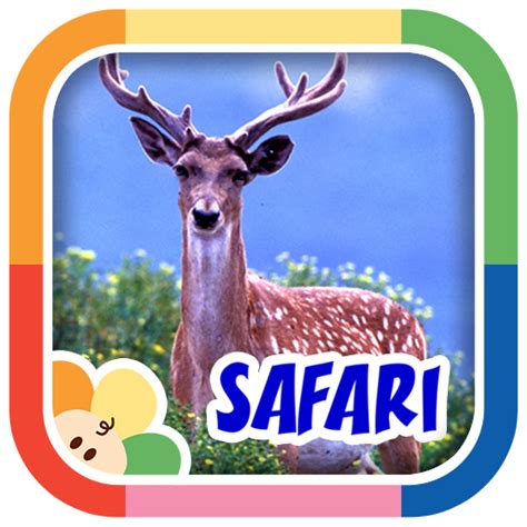 Safari Scrapbook for Kids:Amazon.es:Appstore for Android