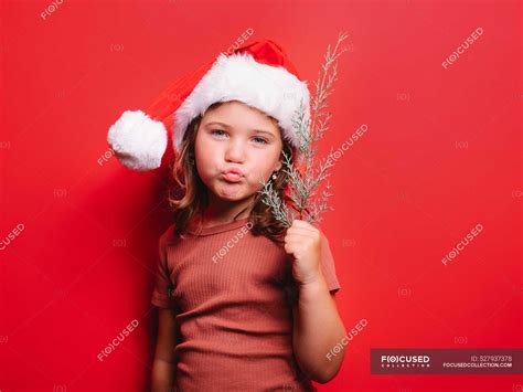 Cute little girl pouting lips in casual clothes and Santa hat holding fir tree twig and looking ...