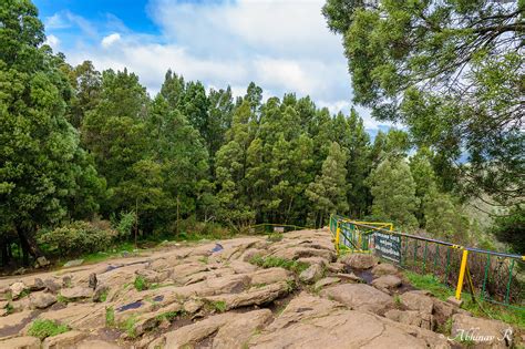 Doddabetta Peak in the Nilgiris - Ooty - PhotoValiant