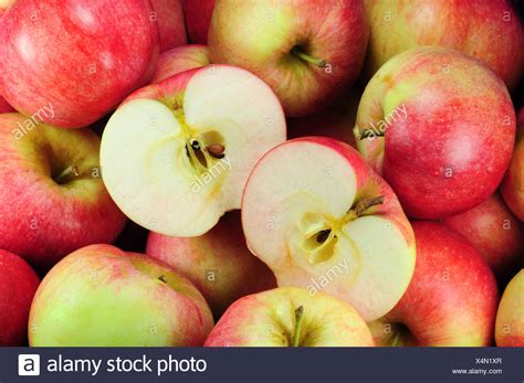 Pome Fruit Stock Photos & Pome Fruit Stock Images - Alamy