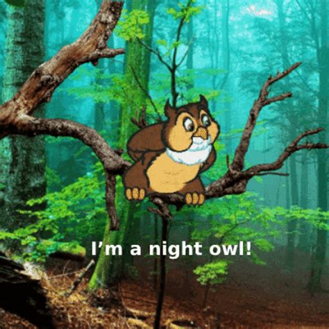 Owl Memes Cute Owls GIF - Owl Memes Cute Owls Animated Owls - Discover & Share GIFs