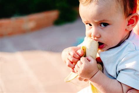 6 Month Old Baby Eating a Banana Holding it by Itself Looking at Camera ...