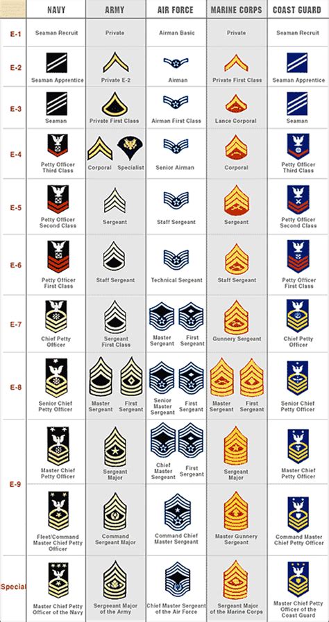 Rank Structure And Insignia Of The US Military - Common Sense Evaluation