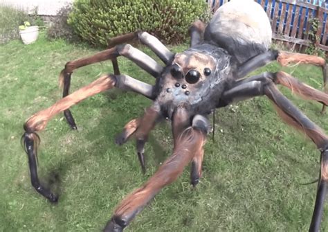 You Can Make A Giant Spider That You Can Put In Your Yard For Halloween