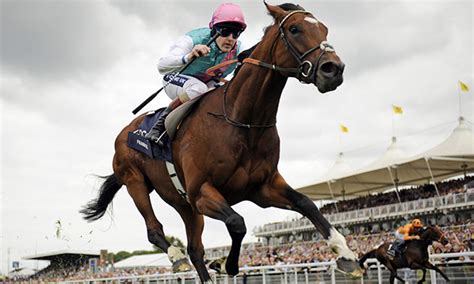 Which horse came closest to beating Frankel? - HorseRacingQA.com