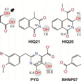 2D structure of RNase H inhibitors used in the present investigation.... | Download Scientific ...