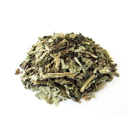 Milk Thistle Herbal Tea | Silybum Marianum | Plant regenerating liver