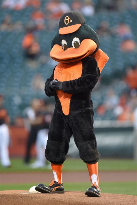 Baseball mascots show off their moves Photos | Image #131 - ABC News