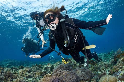 Is scuba diving on your bucket list? Start with Anilao | ABS-CBN News