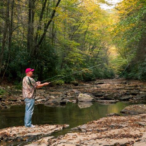 Visit Mercer County, West Virginia - Mercer County WV : Mercer County WV