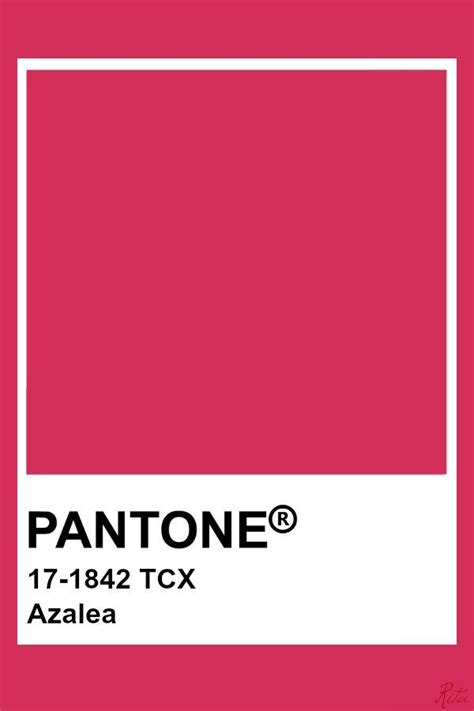 Pantone Azalea | Pantone pink, Pantone color chart, Pantone colour palettes