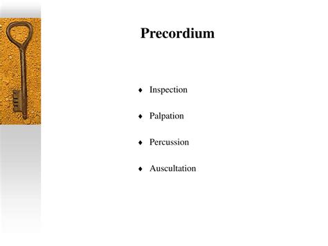 PPT - Cardiovascular Examination PowerPoint Presentation, free download - ID:6650335