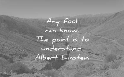 400 Albert Einstein Quotes On Life, Education, Humanity