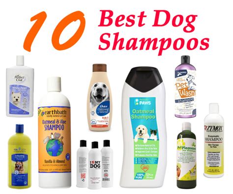 Top Rated 10 Best Dog Shampoos 2024 - Best Pet Shampoos Reviews - Her Style Code