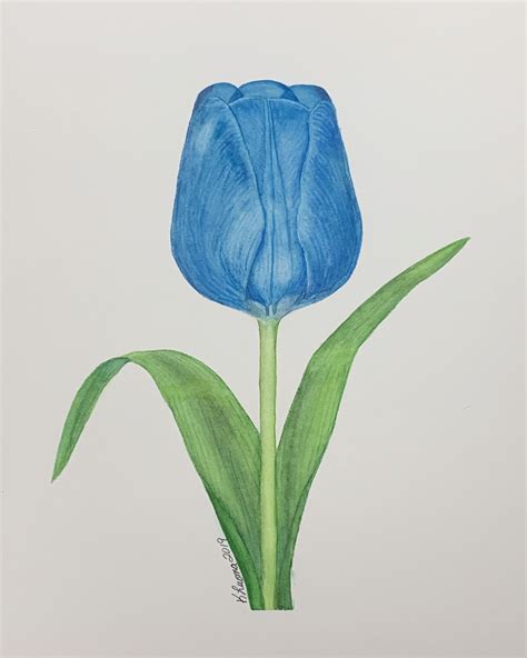 Blue Tulip 1 | Blue tulips, Cute flower wallpapers, Purple wallpaper iphone