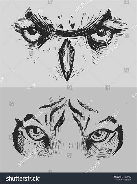 Animal Eyes Tiger Eyes Owl Eyes Stock Vector (Royalty Free) 511304452 ...