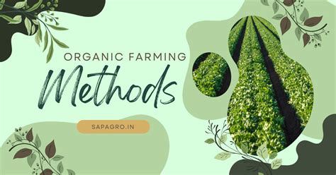 Organic Farming: Practices and Benefits of a Modern Concept