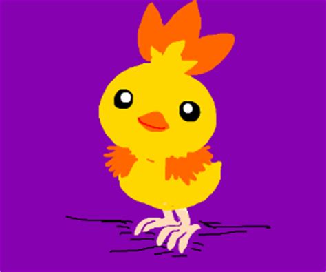 Shiny Torchic - Drawception