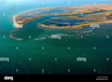 Mouth of river Ebro flying through the air at Delta del Ebro Nature Reserve Stock Photo - Alamy