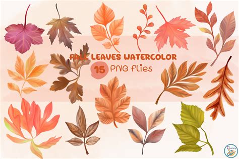 Watercolor Elements | Fall Leaves Graphic by charming2493 · Creative Fabrica