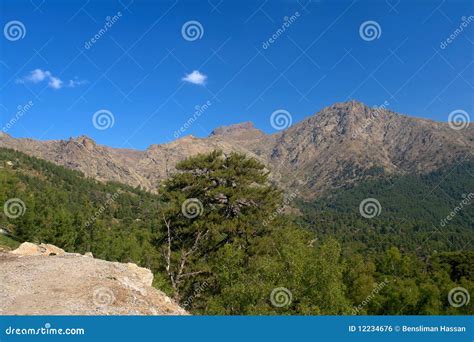 Corsica mountains stock photo. Image of tourism, corsica - 12234676