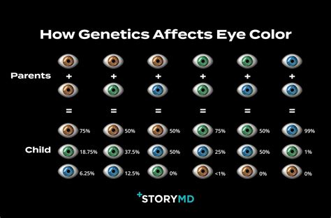 Is Eye Color Determined by Genetics? - StoryMD