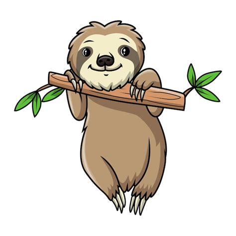 Premium Vector | A cartoon sloth hanging on a branch