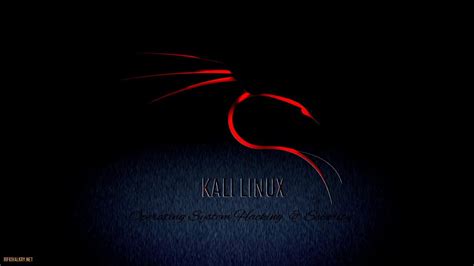 Kali Linux Wallpapers - Wallpaper Cave