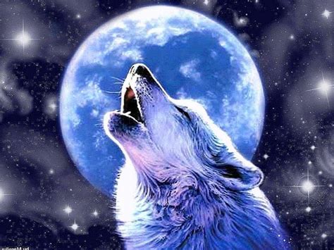 Wolf In Moonlight Wallpapers - Wolf-Wallpapers.pro