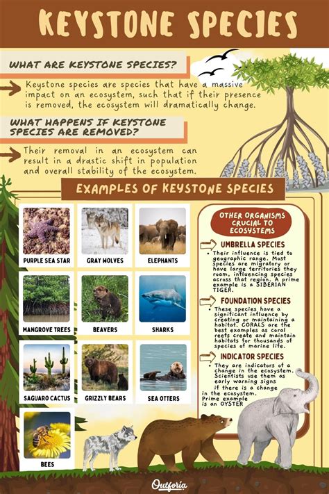 10 Keystone Species Examples and the Important Role they Play in Every Ecosystem