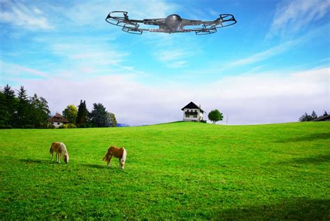 Tracking Solution for Livestock Management | ZenaDrone Inc.