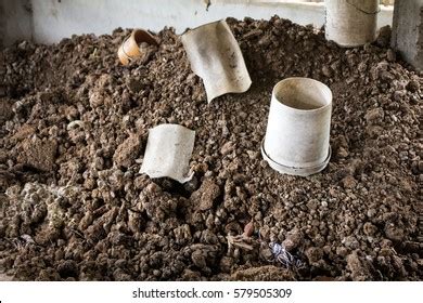 Organic Pig Poo Fertilizer Soil Stock Photo 579505375 | Shutterstock