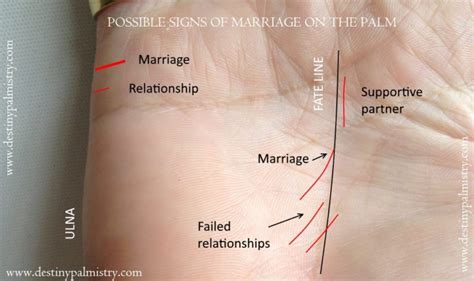 Marriage on the Palm - Relationship lines - Compare Your Lines and Features