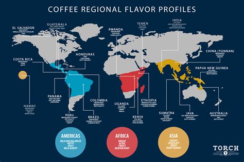 Coffee Regions & Profiles — AVL Coffee