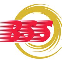 Bss Business Solutions And I.T. Services in Marikina City, Metro Manila ...