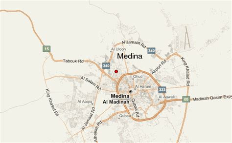 Medina Weather Forecast