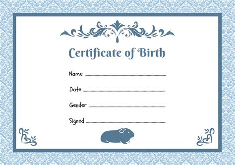 Guinea Pig Birth Certificate Printable PDF A4 Download Instant Print at Home Template Blue ...