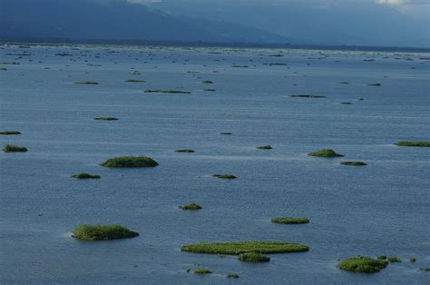 followme: The Loktak Lake, Manipur