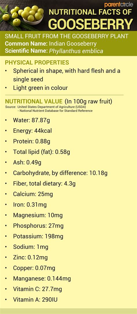 Gooseberry Health Benefits, Medicinal Uses, Nutrition Value and Calories - Parentcircle