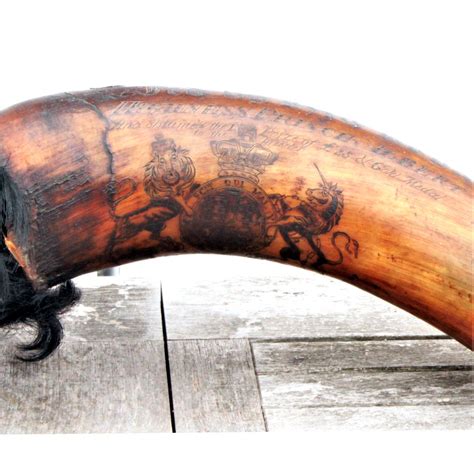 Documentary Oxen Horns | 548766 | Sellingantiques.co.uk