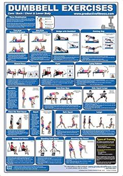 Dumbbell Exercises-Lower Body/Core/Chest & Back Laminated (Poster): Andre Noel Potvin ...