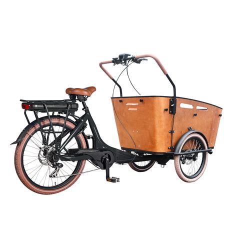 Pedal assist Electric cargo bike three wheel