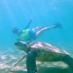 Kauai Snorkeling Tours | Kauai.com