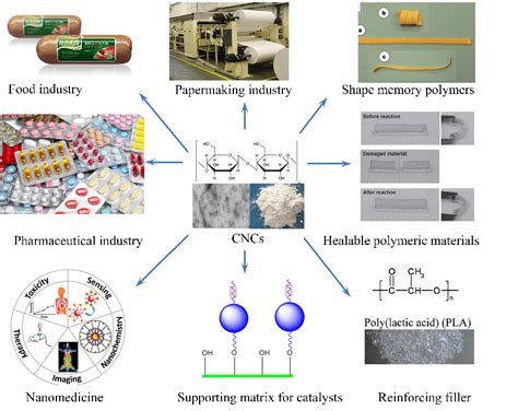 Applications of Cellulose Nanocrystals: A Review