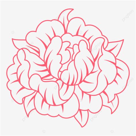 Chinese Peony Vector Art PNG, Illustration Of Chinese Peony, Chinese Drawing, Peony Drawing ...