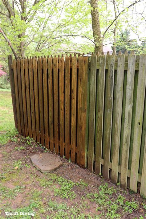 best fence stain sprayer - Good Here Diary Fonction