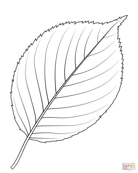 Apple Tree Leaf coloring page | Free Printable Coloring Pages