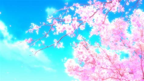 Anime Cherry Blossom Tree Background