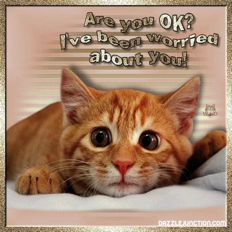 Concerned Comments, Images, Graphics, Pictures for Facebook | Get well soon cat, Cat quotes, Get ...